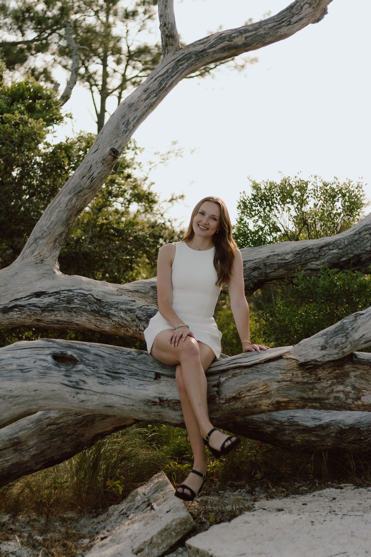 Sitting on the driftwood