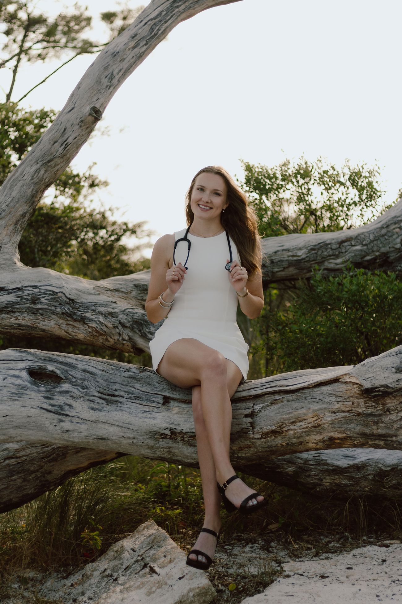 Up on the fallen tree