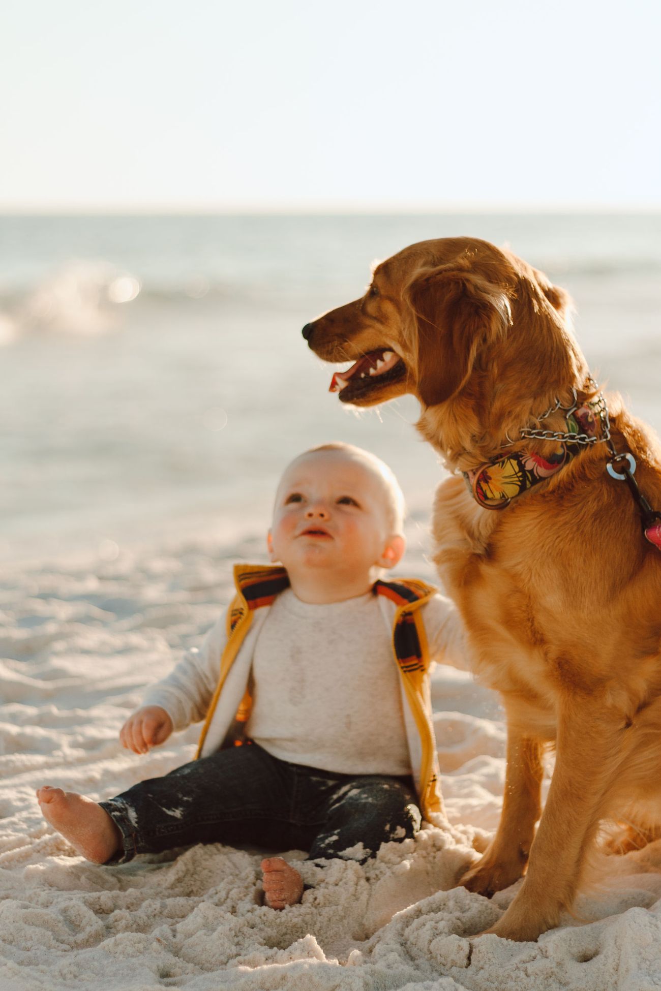 The baby and the golden retriever in the sand